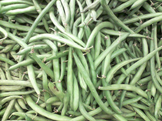 String Beans String Beans