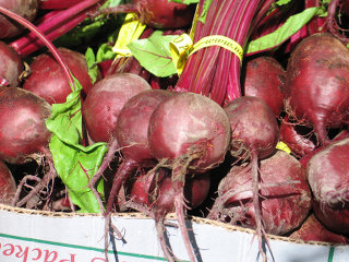 Beets Beets