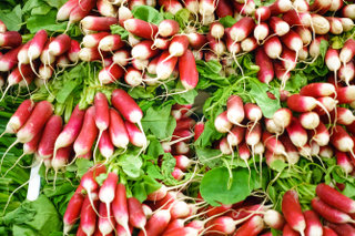 Radishes Radishes