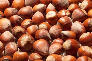 Hazelnuts Hazelnuts
