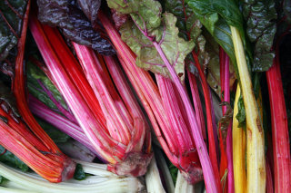 Rhubarb Rhubarb